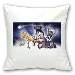 Cushion