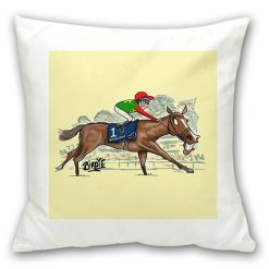 Cushion
