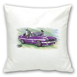 Cushion