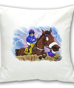 Cushion 