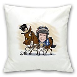 Cushion