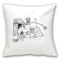Cushion
