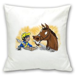 Cushion
