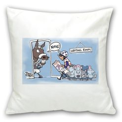 Cushion