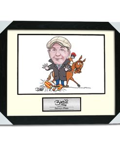 Framed Print & Plaque 20x16